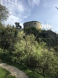 IMG_5353