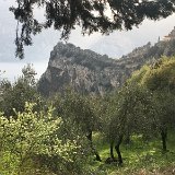 IMG_5378