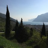 IMG_5528