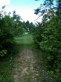 IMG_0582
