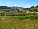 IMG_0584