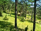 IMG_0587