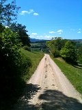 IMG_0590