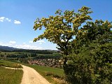 IMG_0593