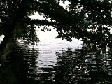 IMG_0594