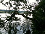 IMG_0595