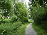 IMG_0601