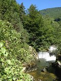 IMG_3554