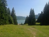IMG_3603