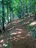 IMG_3606
