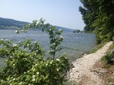 IMG_3609
