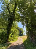 IMG_1363