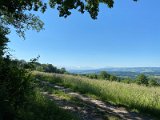 IMG_1251
