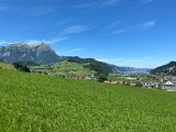 IMG_1545