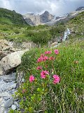 IMG_1711