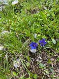IMG_1768