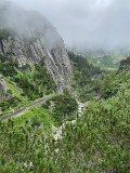 IMG_1860