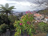 IMG_2002