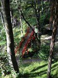 IMG_2855