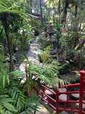 IMG_2861