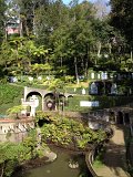 IMG_2867