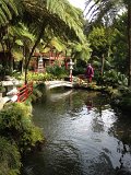 IMG_2876