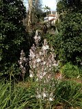 IMG_2893