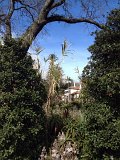 IMG_2894