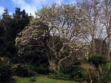 IMG_2901