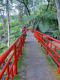 IMG_8580