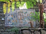 IMG_8593
