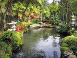 IMG_8633