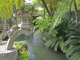IMG_8636