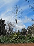 IMG_8684