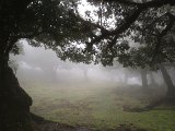 IMG_2753
