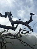 IMG_0085 (Bearbeitet)