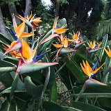 IMG_0466