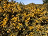 IMG_0525
