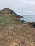 IMG_0601