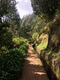IMG_0120
