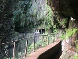 IMG_0139