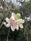 IMG_9560(1)