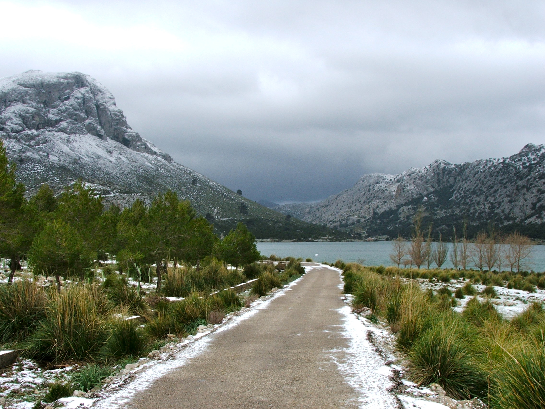 DSCF3625.jpg