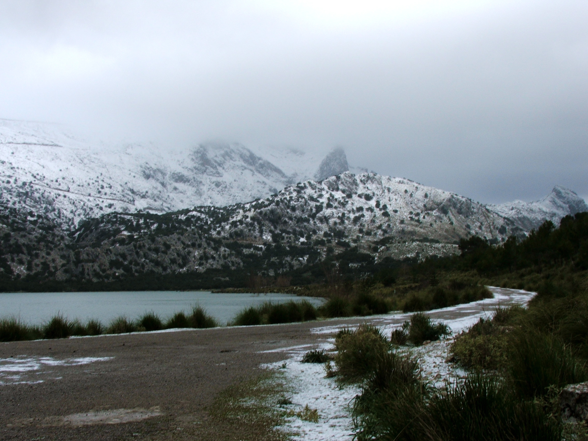DSCF3628.jpg