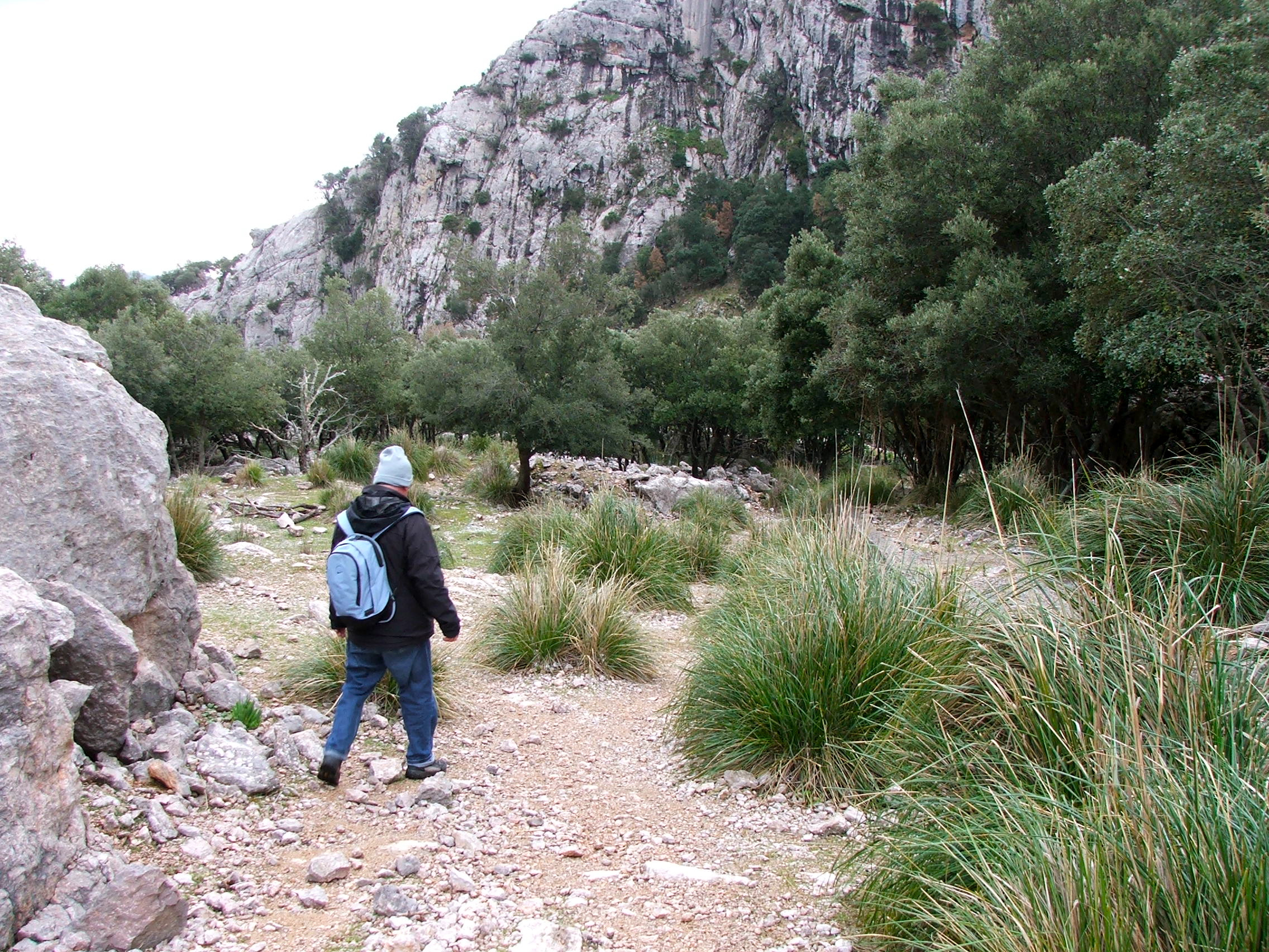 DSCF3636.jpg