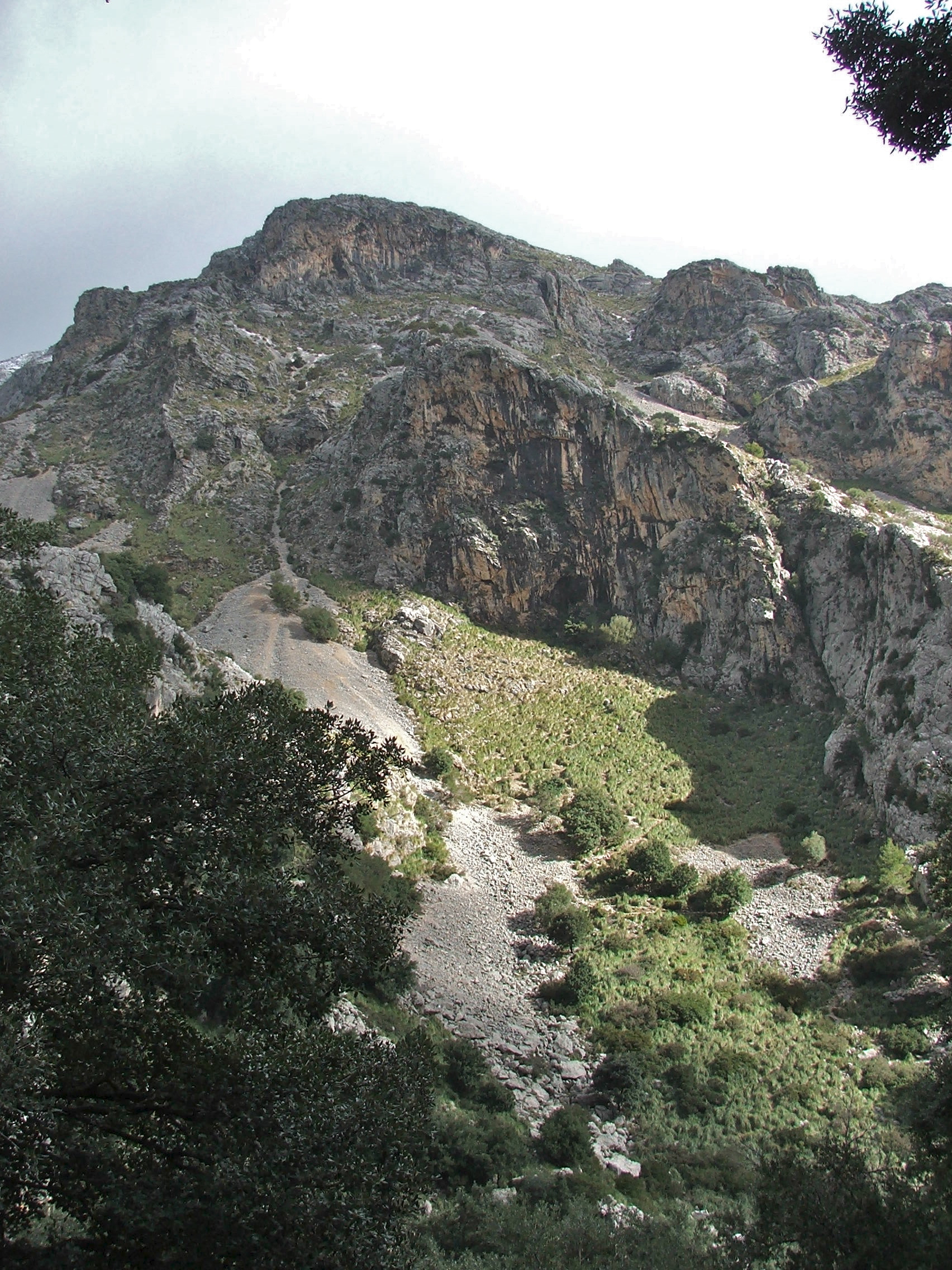 DSCF3637.jpg