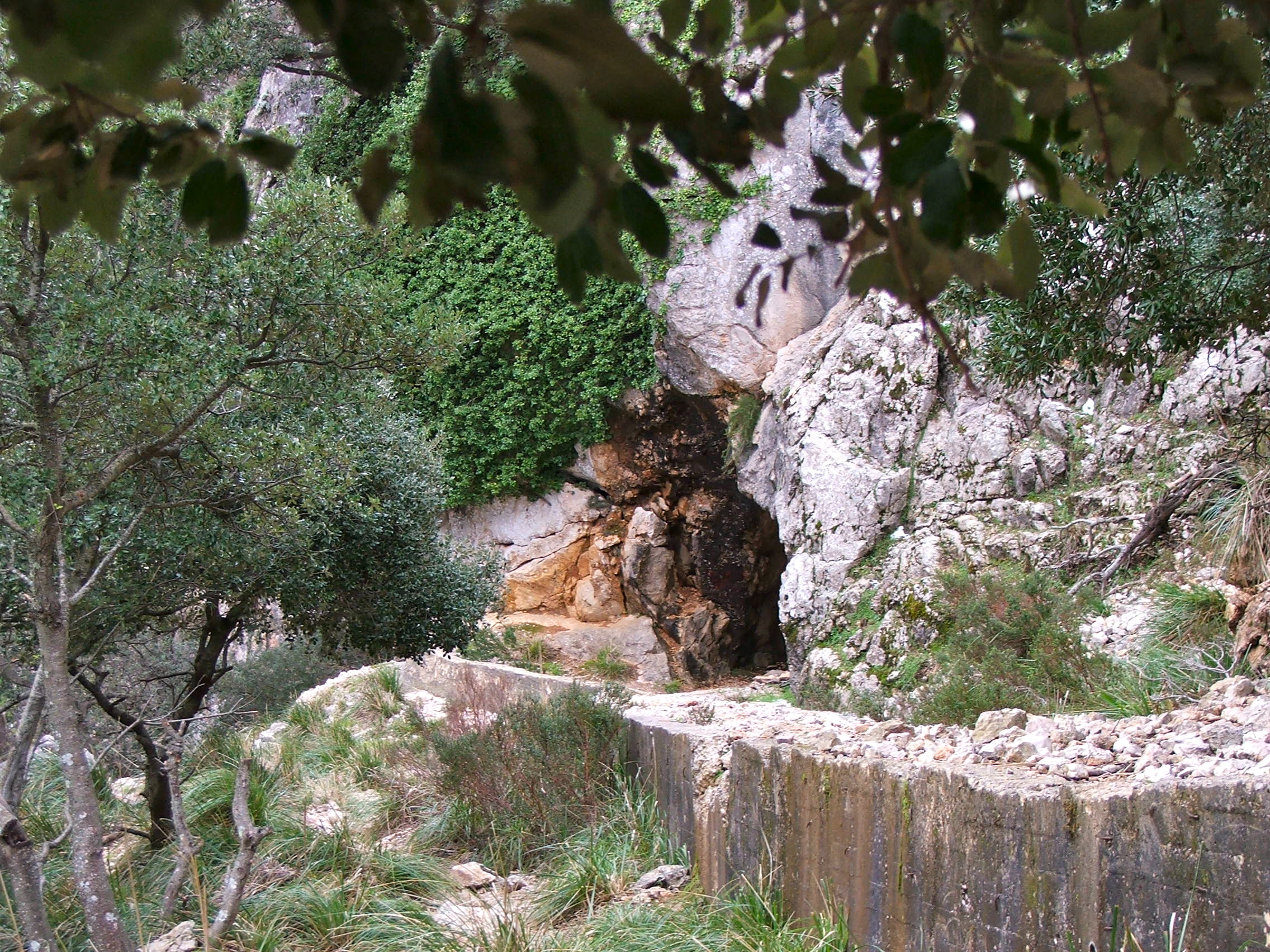 DSCF3638.jpg