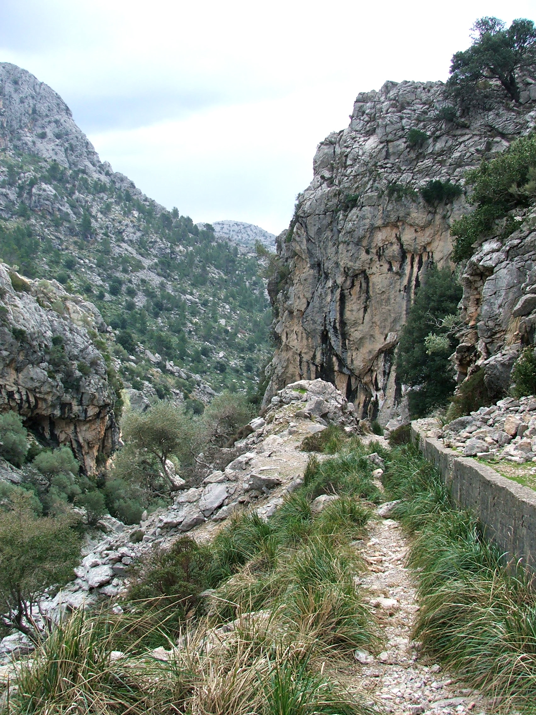 DSCF3642.jpg