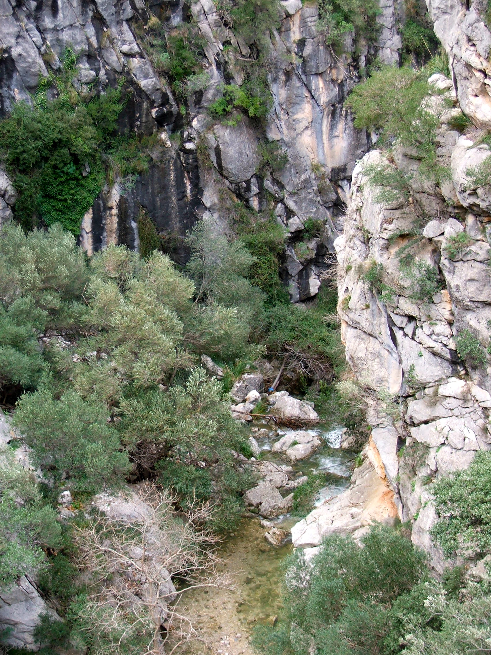 DSCF3648.jpg