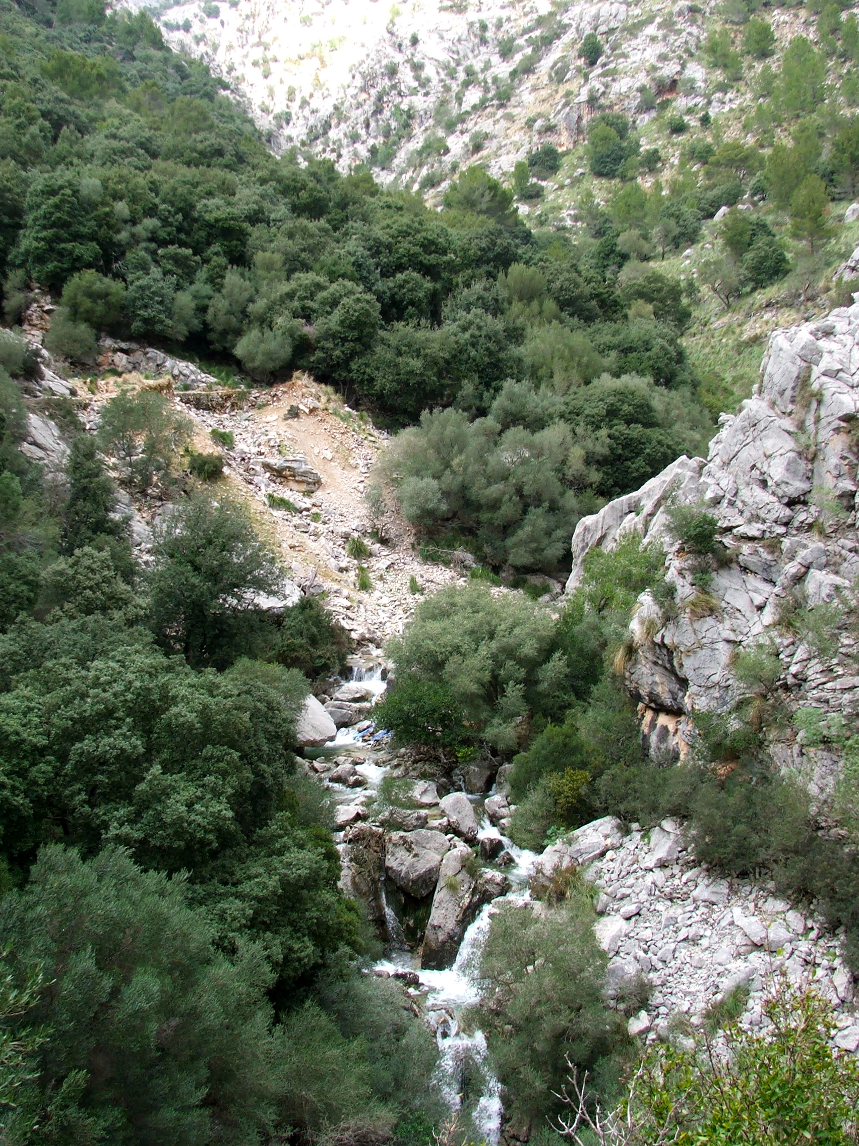DSCF3649.jpg